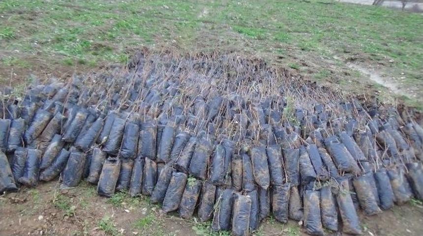 Kulp&rsquo;ta Orman K&ouml;yl&uuml;s&uuml;ne Milyonluk Piyango