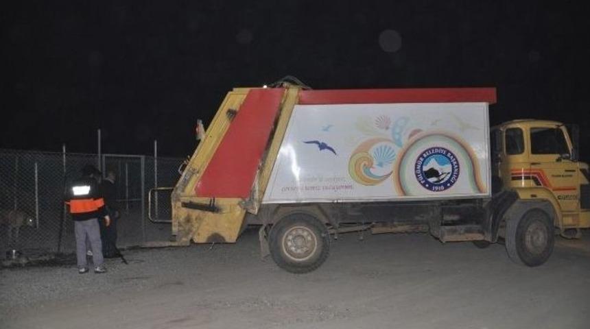 P&uuml;l&uuml;m&uuml;r İl&ccedil;esindeki Başıboş K&ouml;pekler Hayvan Barınağına Teslim Edildi