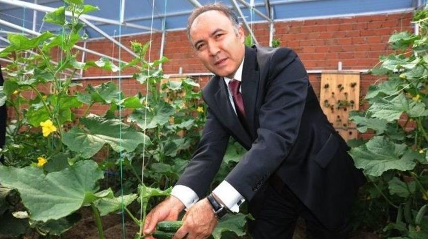 Seracılığa Profesyonel Destek