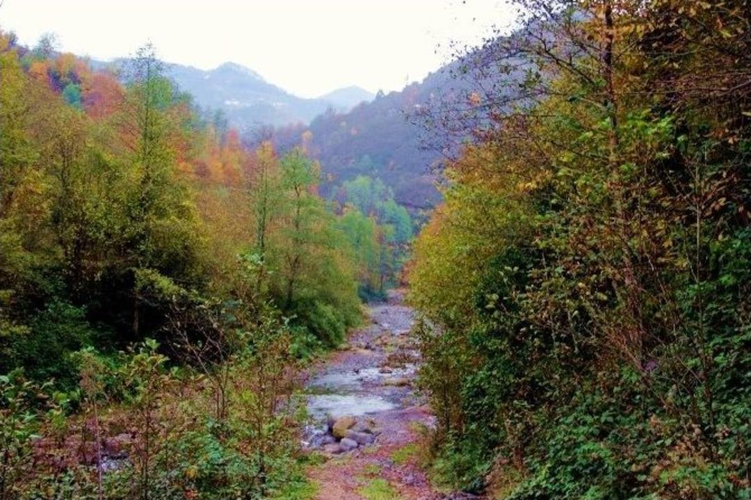Karadeniz&rsquo;de Renk C&uuml;mb&uuml;ş&uuml;