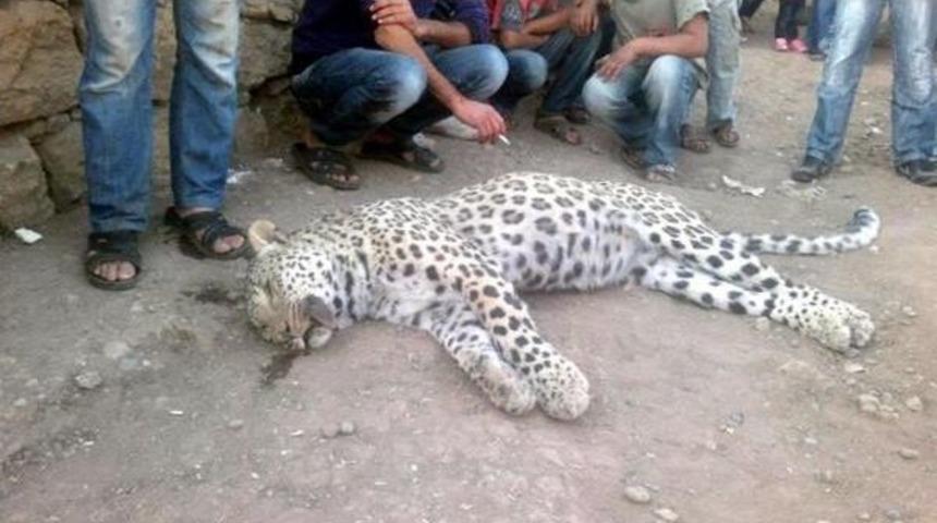 Diyarbakır'da Leopar &Ouml;ld&uuml;ren Kuzenler Beraat Etti