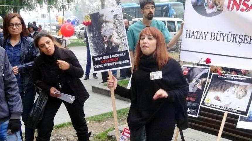 Hatay&rsquo;da Hayvan &Ouml;l&uuml;mlerine Tepki
