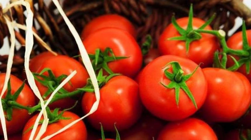 Domateste Rusya&rsquo;Ya Ihracat I&ccedil;in G&uuml;n Sayılıyor