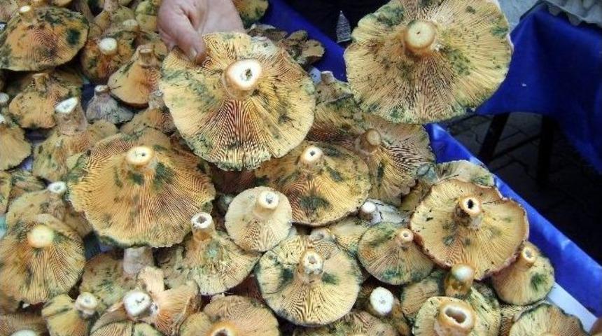 Mantar Pazar Tezgahlarda Yerini Koruyor