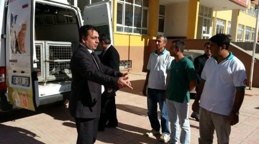 Tufanbeyli&rsquo;deki Sokak Hayvanları İ&ccedil;in Rehabilitasyon &Ccedil;alışması