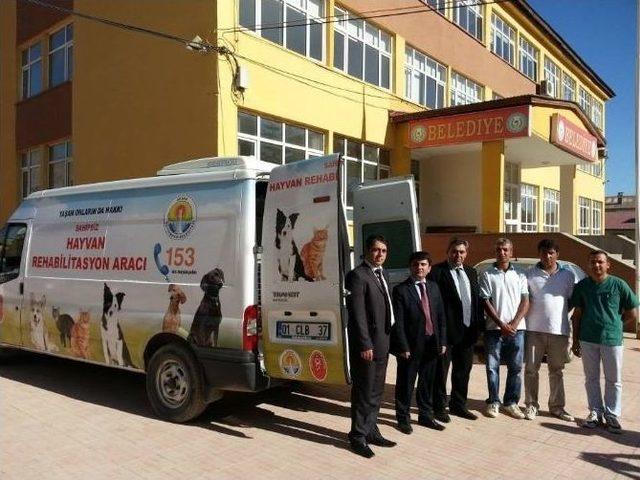 Tufanbeyli’deki Sokak Hayvanları İçin Rehabilitasyon Çalışması 1