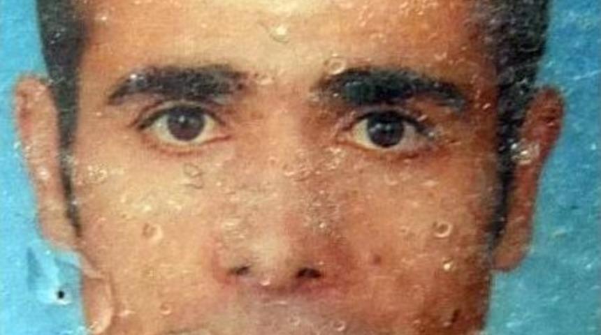 Kediyi Kurtarmak İsterken &Ouml;ld&uuml;