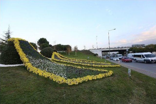 Bursa Kışın Da Çiçek Bahçesi 3