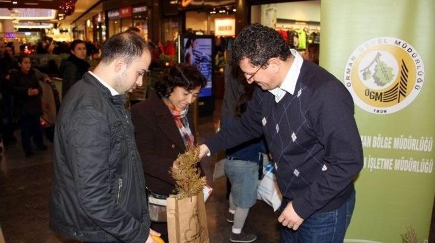 &ldquo;yeni Yıla Fidan Keserek Değil, Fidan Dikerek Girelim&rdquo; Kampanyası