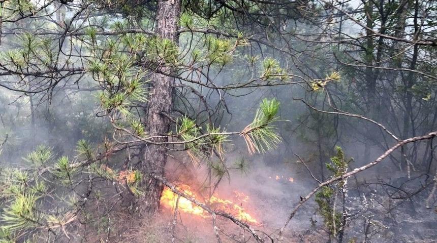 Yıldırım Sonucu 10 Ayrı Orman Yanıgını &Ccedil;ıktı