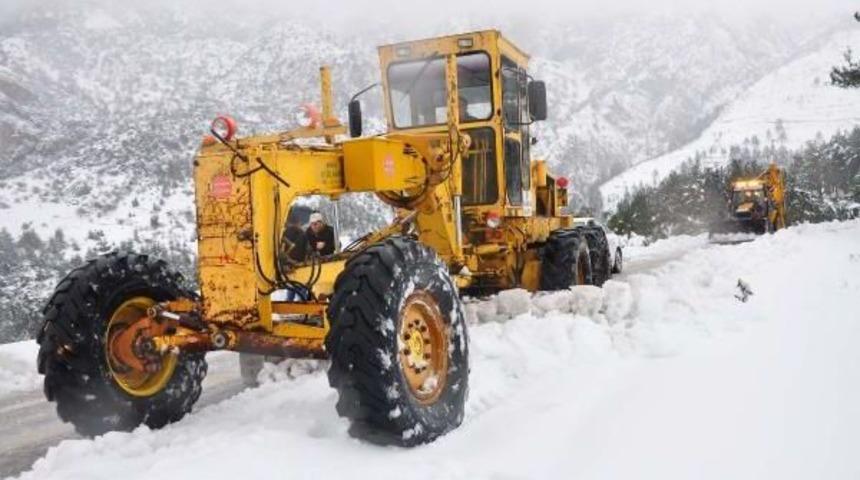 Spil Dağı'ndaki Yaban Hayatı Unutulmadı