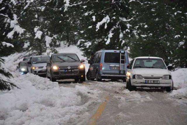 Spil Dağı'ndaki Yaban Hayatı Unutulmadı