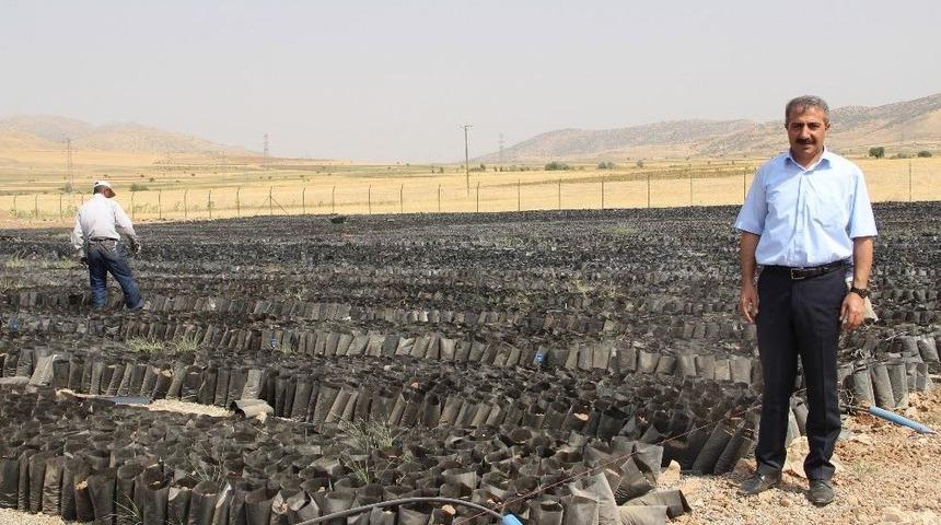 Gerc&uuml;ş&rsquo;te 37 Bin Metrekare Alana &lsquo;&ccedil;ift&ccedil;i Eğitim Merkezi&rsquo; Kuruluyor