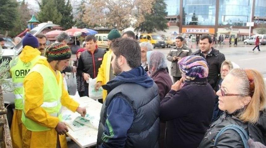 Afyonkarahisar’ın 4 İlçesinde 47 Bin Adet Ücretsiz Fidan Dağıtıldı