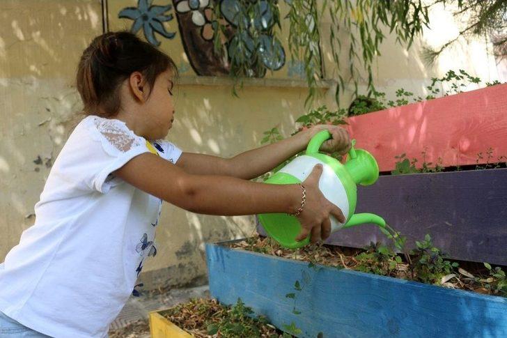 Miniklerden Sebze Yetiştiriciliği G1