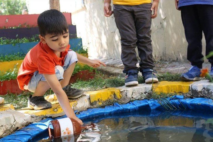 Miniklerden Sebze Yetiştiriciliği G2