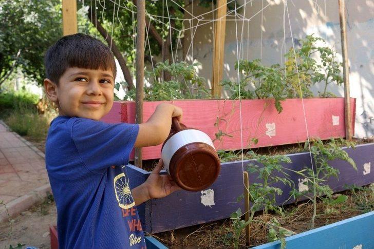 Miniklerden Sebze Yetiştiriciliği G3