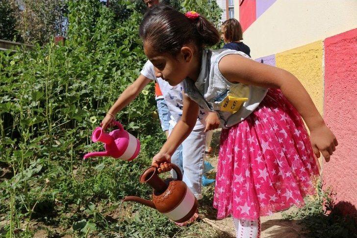 Miniklerden Sebze Yetiştiriciliği G4