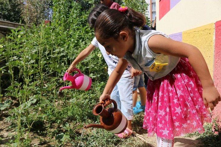 Miniklerden Sebze Yetiştiriciliği G5