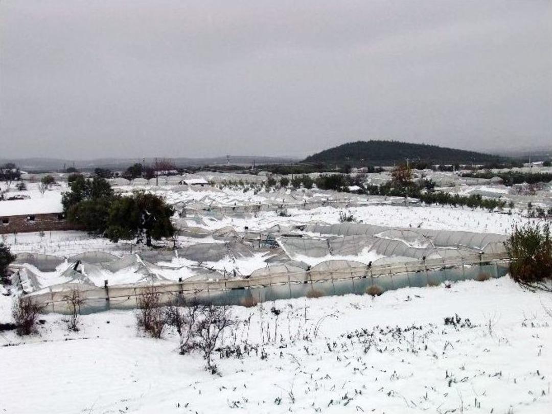 &Ccedil;am&ouml;n&uuml;&rsquo;nde Kar Altında Kalan Seraların &Ccedil;atıları &Ccedil;&ouml;kt&uuml;