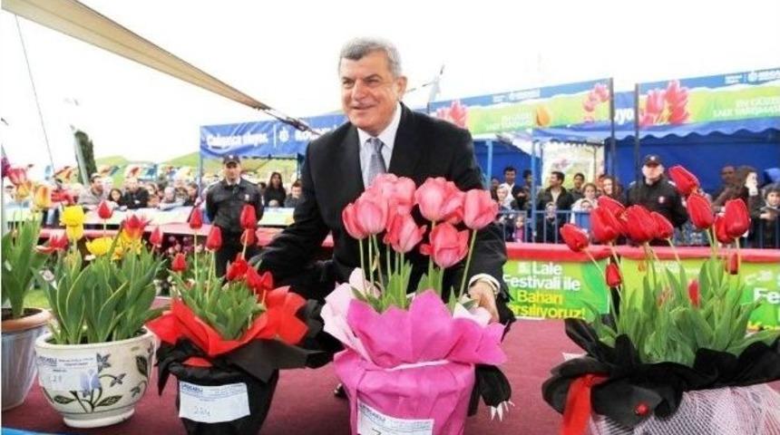 Lale Satışları Başladı