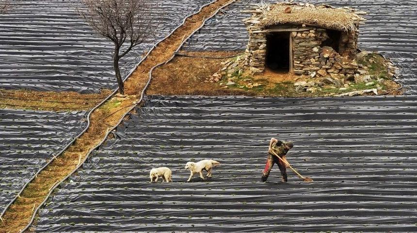 Konyalı Fotoğrafçıya, Uluslararası Fotoğraf Yarışmasında Birincilik Ödülü