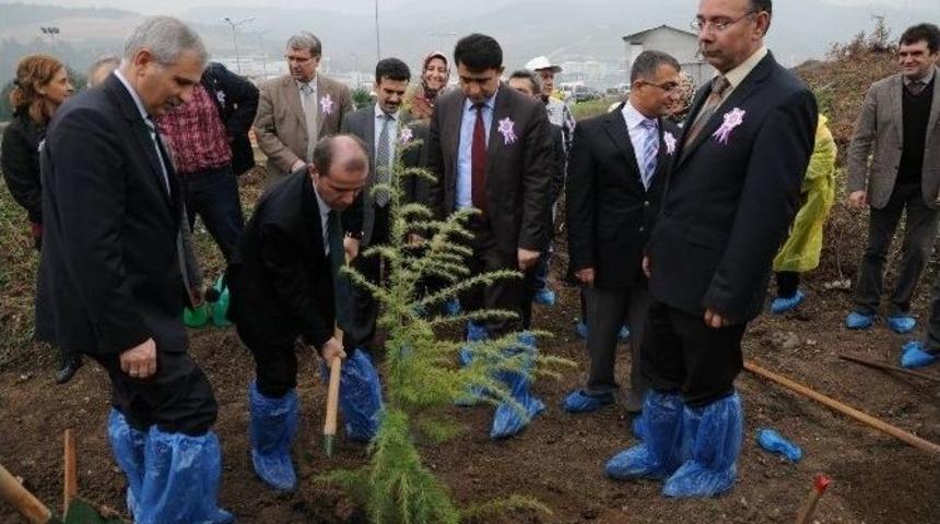 Kanser Hastalarının Dikili Ağacı Oldu