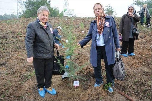 Kanser Hastalarının Dikili Ağacı Oldu