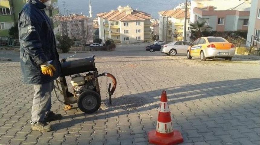 Bursa&rsquo;da Sinek Ve Haşere İle M&uuml;cadele Hız Kesmiyor