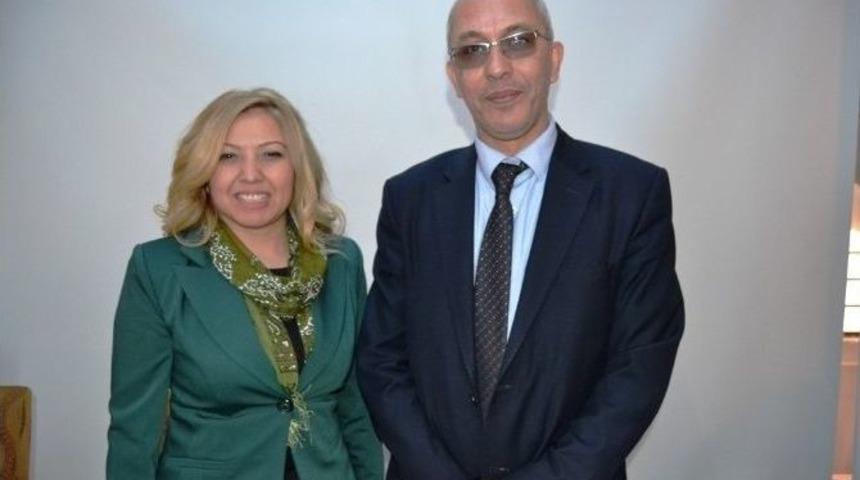 Zeytinde Verimlilik Ve Kalite &Ccedil;alıştayı