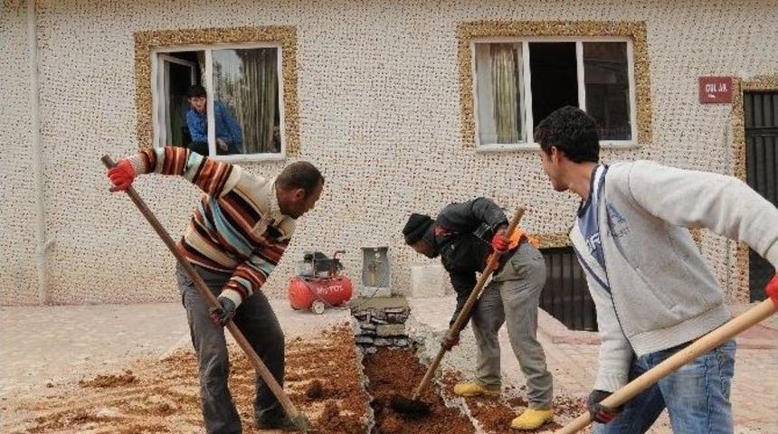 Trabzon&rsquo;un Yarısına Doğalgaz Ulaştırıldı