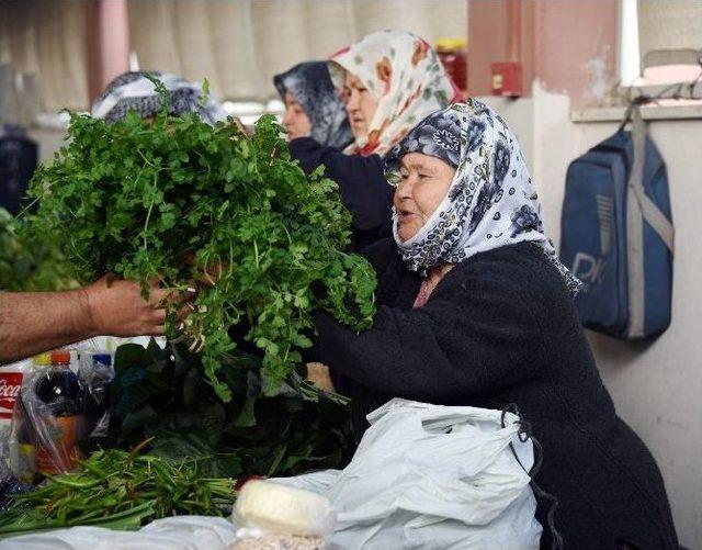 Ege&rsquo;nin Şifalı Otları Aliağa K&ouml;yl&uuml; Pazarında 1