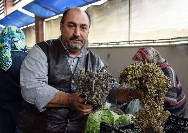 Ege&rsquo;nin Şifalı Otları Aliağa K&ouml;yl&uuml; Pazarında 2