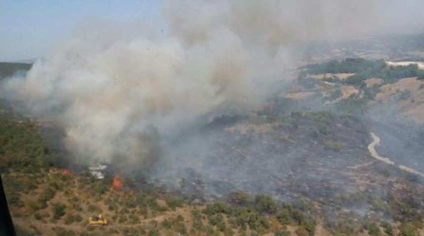 Balıkesir'de Korkutan Yangın