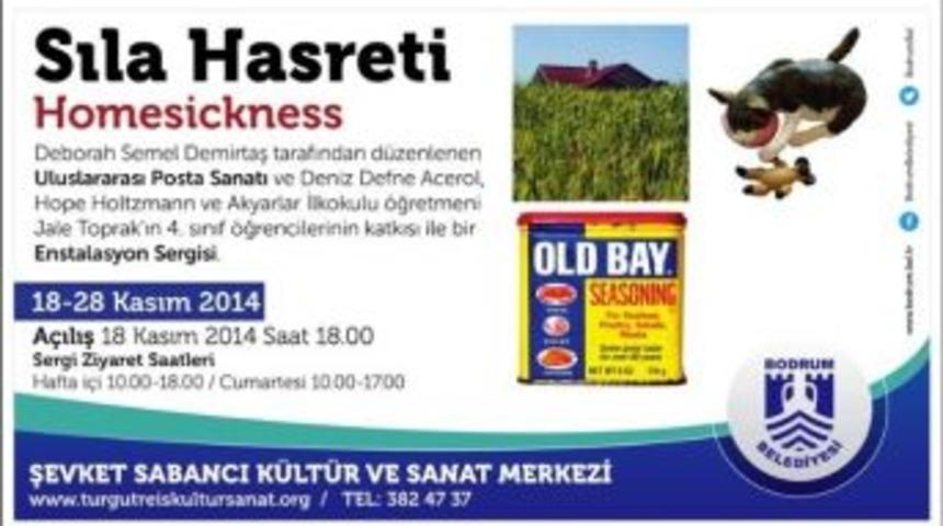 Enstalasyon Ve Posta Sanatı &rsquo;sıla Hasreti&rsquo; Sergisinde Buluşuyor