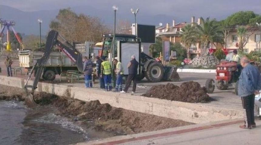 Edremit&rsquo;te Sahilden Her Şey &Ccedil;ıkıyor