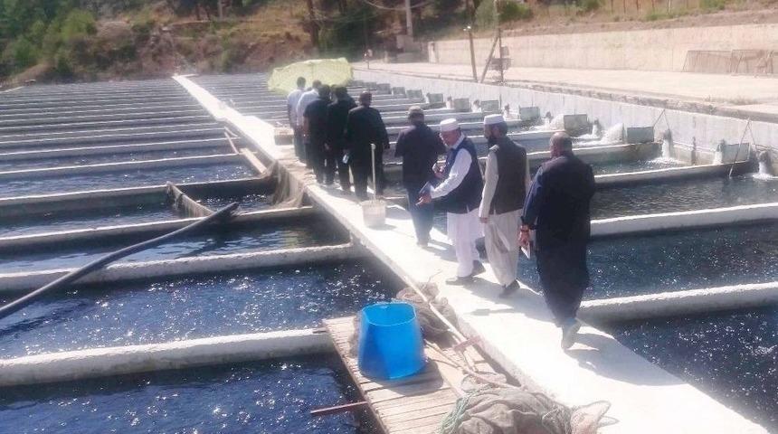 T&uuml;rkiye&rsquo;nin Balık Yetiştiriciliği Tecr&uuml;besi Kardeş &Uuml;lke Pakistan&rsquo;a Aktarılıyor