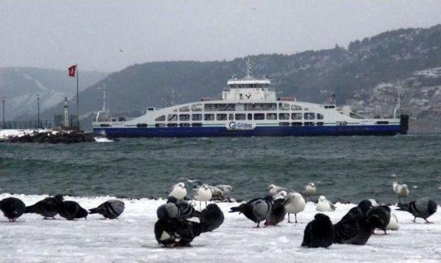 Çanakkale'de Kar Durdu, Fırtına Sürüyor