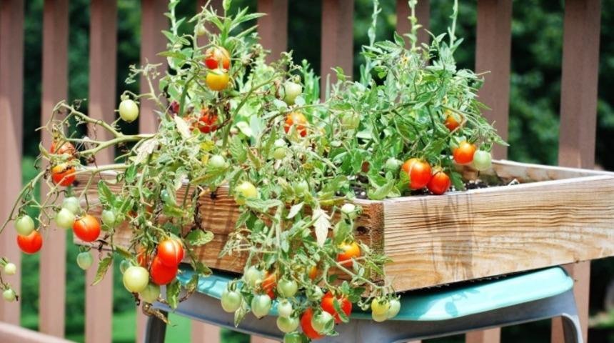 Taksim'in Ortasında Yeni Bir Ekosistem: Ek Bi&ccedil;, Ye İ&ccedil;