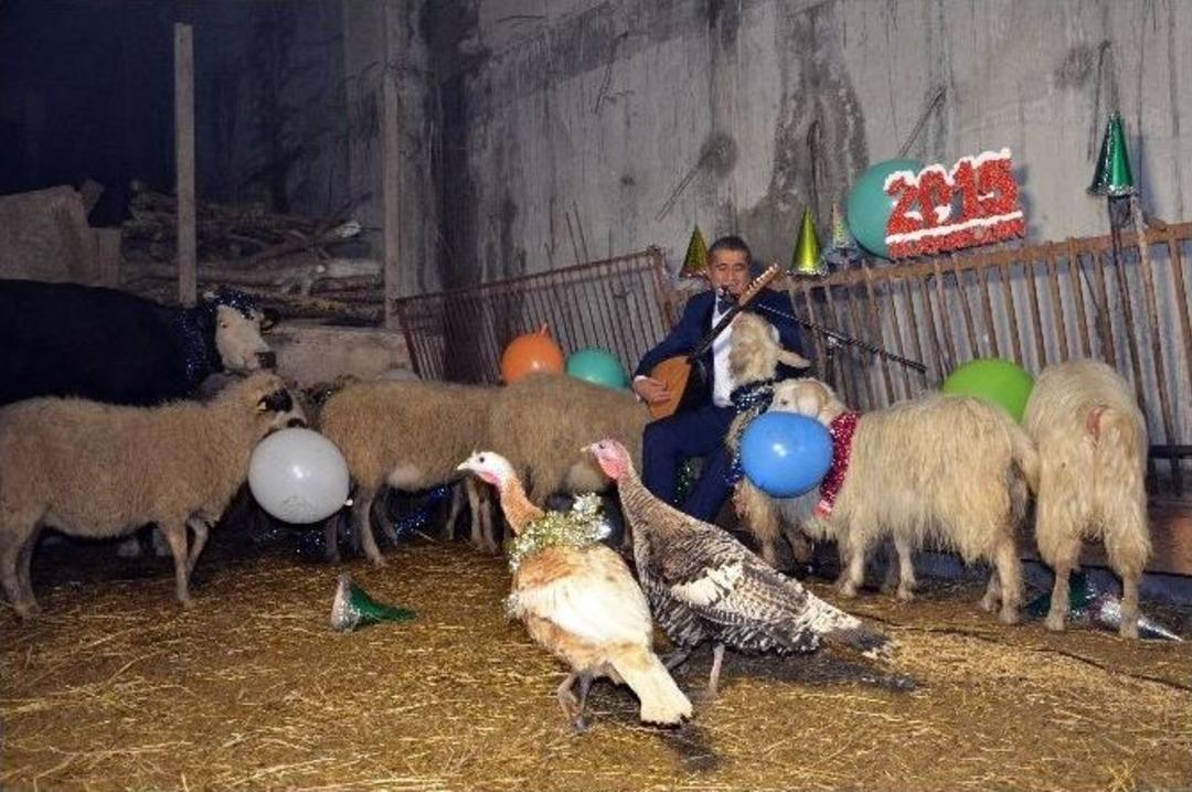 Yeni Yıla B&ouml;yle Girdi