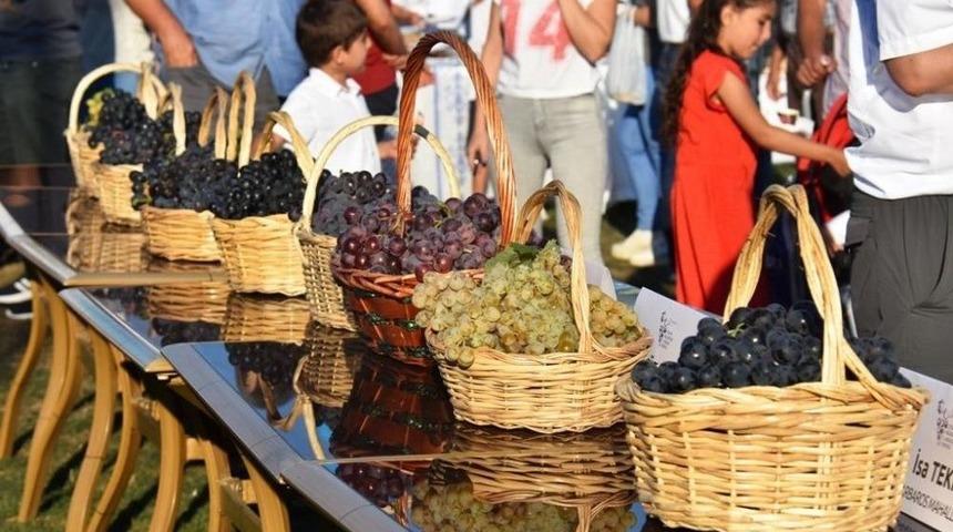 3. Trakya Bağ Bozumu Ve Ekoloji Festivali Kapılarını A&ccedil;ıyor