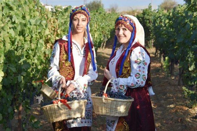 3. Trakya Bağ Bozumu Ve Ekoloji Festivali Kapılarını A&ccedil;ıyor 1