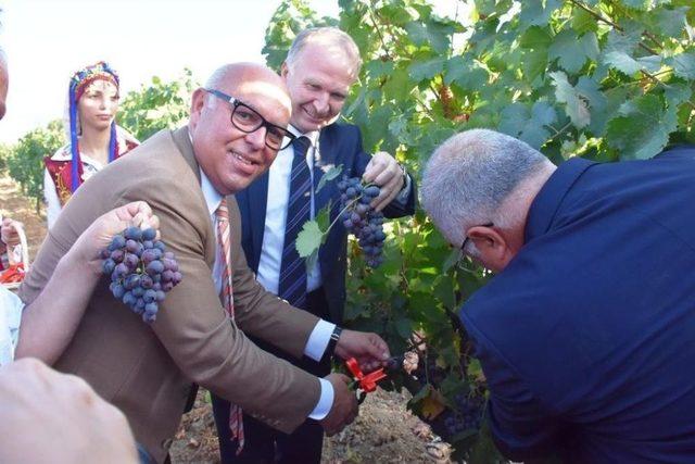 3. Trakya Bağ Bozumu Ve Ekoloji Festivali Kapılarını A&ccedil;ıyor 2