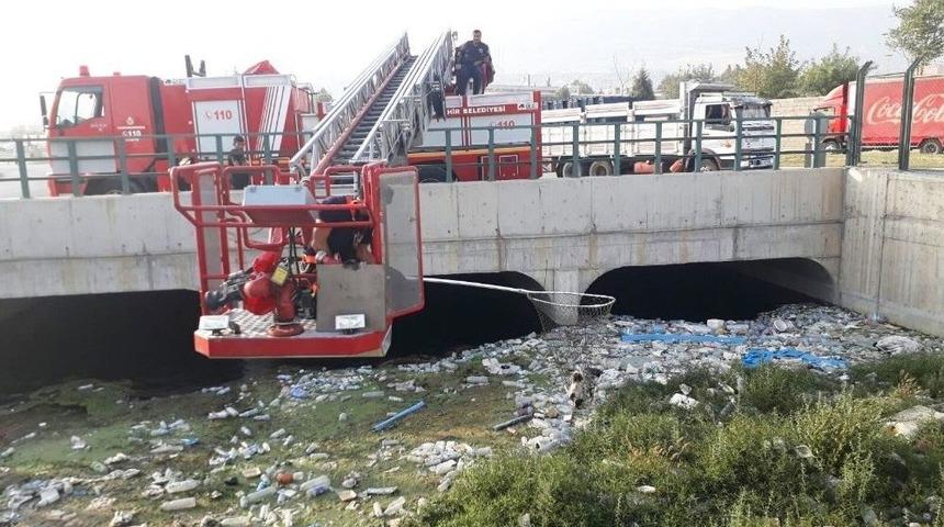 Sulama Kanalına D&uuml;şen Kedi İtfaiye Merdiveniyle Kurtarıldı