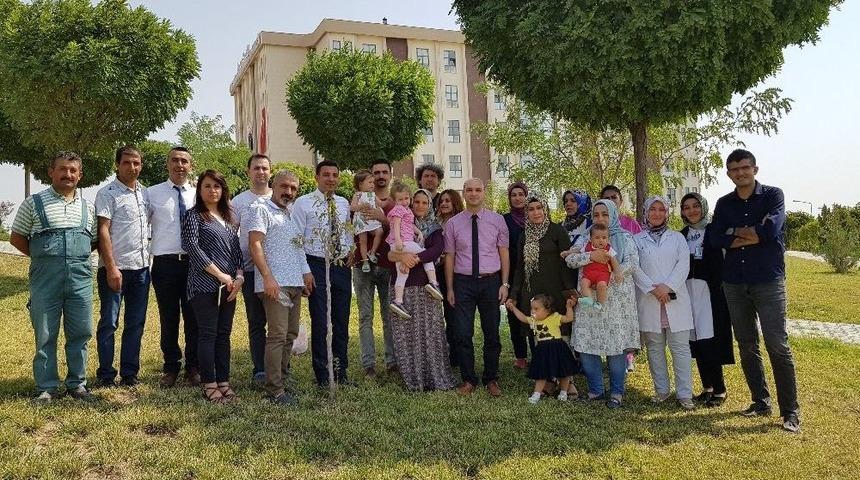 Fidanlar Bebeklerle Birlikte B&uuml;y&uuml;yor