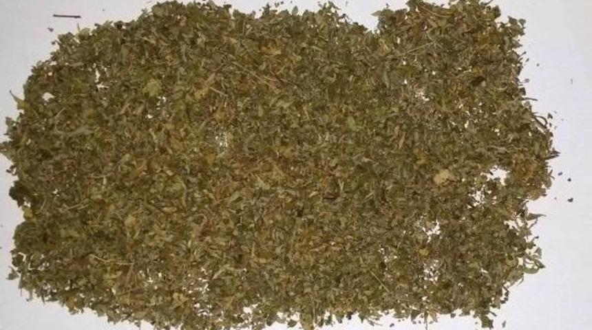 Zonguldak'ta Uyuşturucu Operasyonu: 3 G&ouml;zaltı