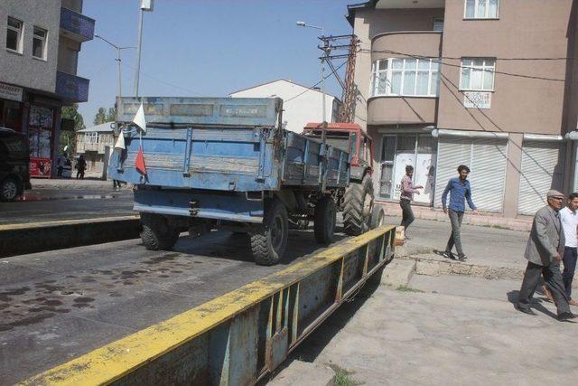 Ağrı’da Kantarcıların Yüzü Gülüyor