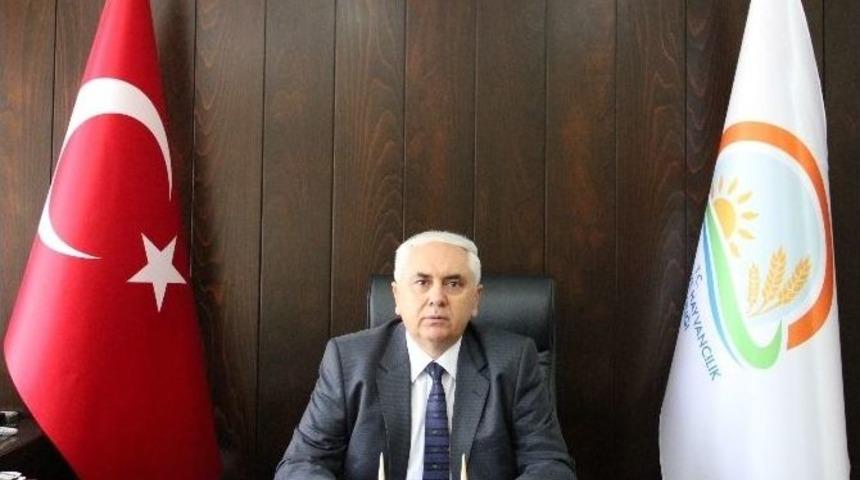 Organik Tavuklar Bursa&rsquo;da Yumurtlayacak