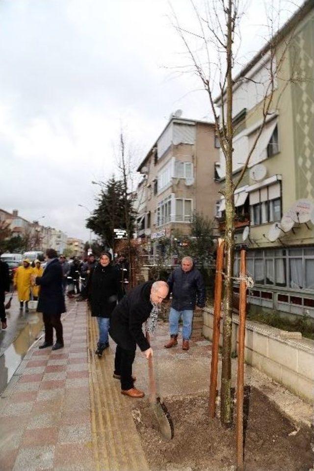 Başkan Akgün 2014 Yılında Hayatını Kaybedenler İçin Ağaç Dikti