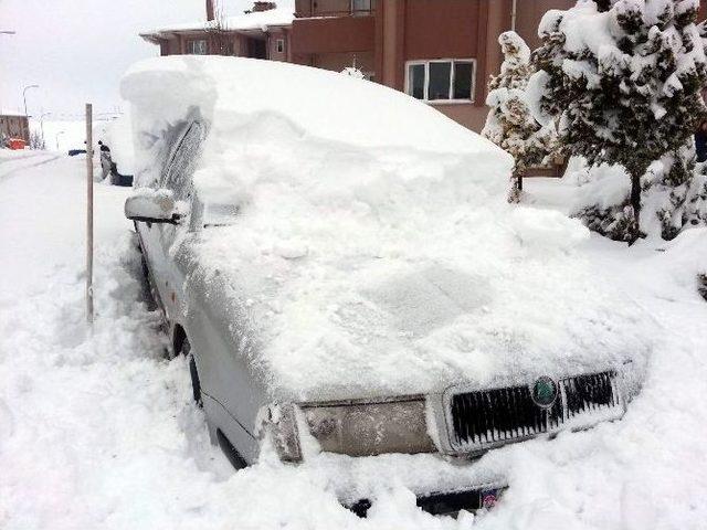 Eskişehir’de Araçlar Karla Kaplandı 1